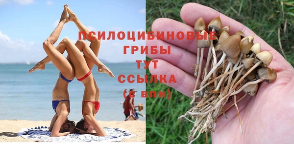 марки lsd Балахна