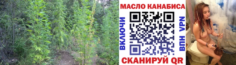 наркошоп  Гаврилов-Ям  Дистиллят ТГК жижа 